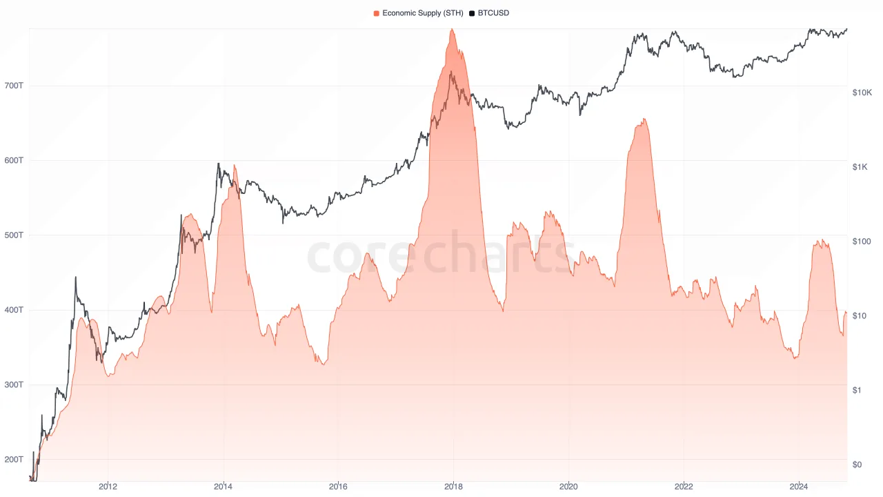 Economic Supply (STH) metric preview